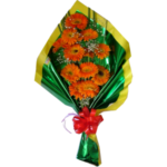 Flores